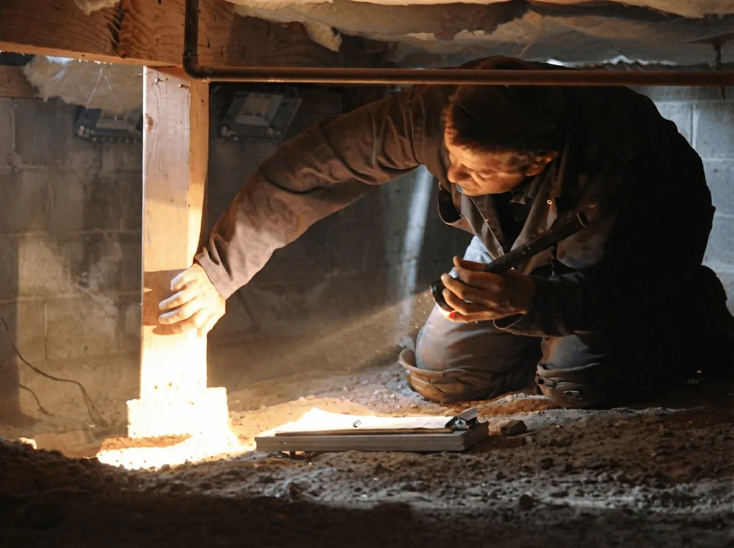 A professional inspecting wooden beams under the floor of a structure in Toledo, OH